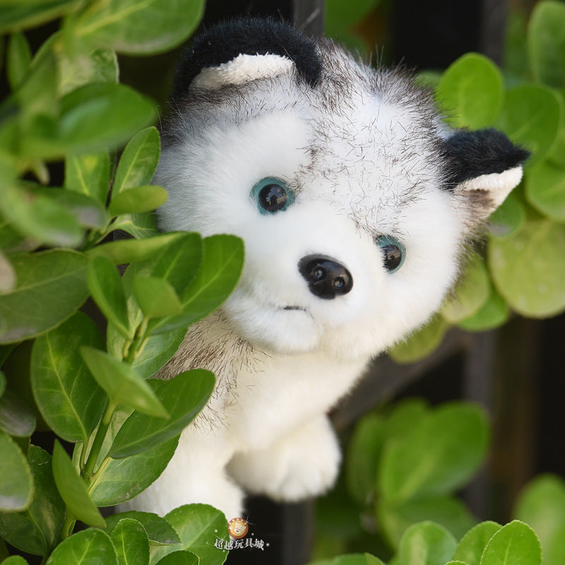 Realistic Husky Plush Toy, Soft Gray and White Puppy in 20, 25 or 30 cm for Cozy Bedrooms, Desks and Dog Lover Gifts