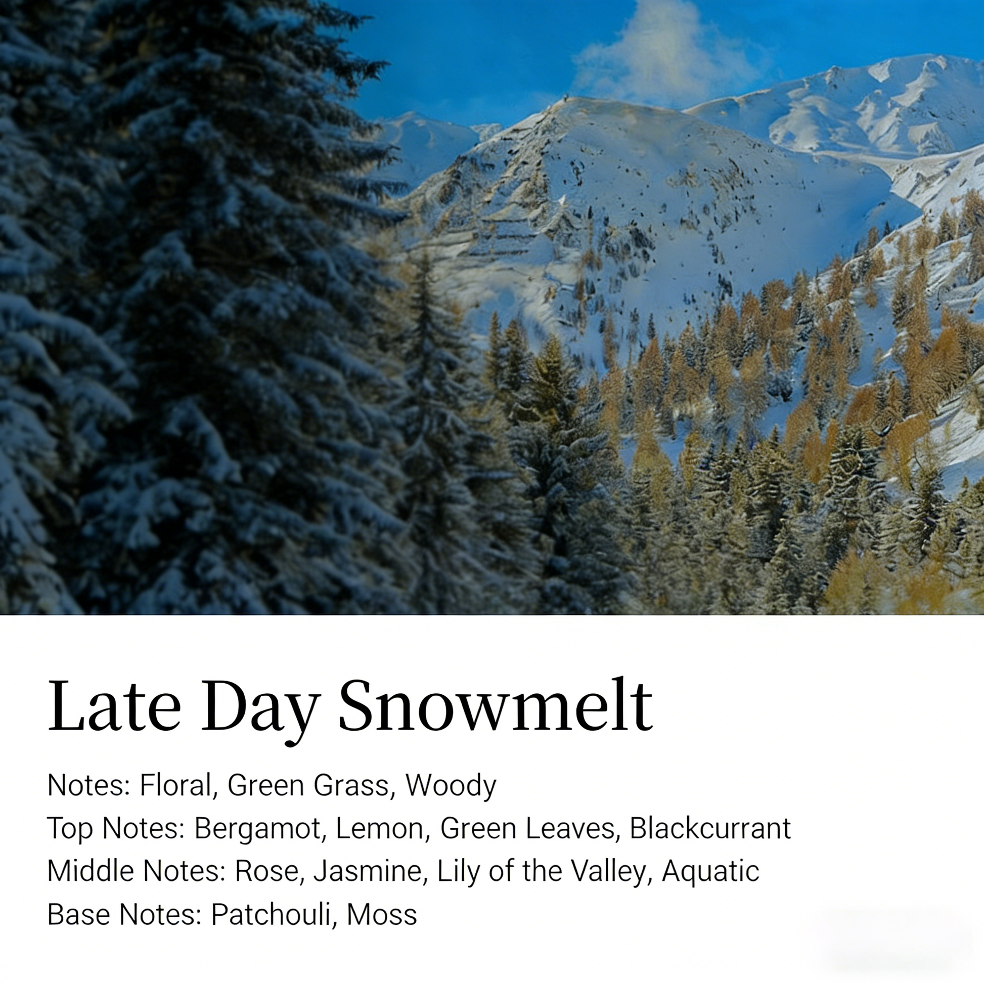 Wizard of Oz Volcanic Stone Diffuser: Nature-Infused Aromatherapy Art | 180 Days Long-Lasting Scent, Everlasting Flowers & Crystals, Multi-Use for Fragrance, Decoration & Relaxation