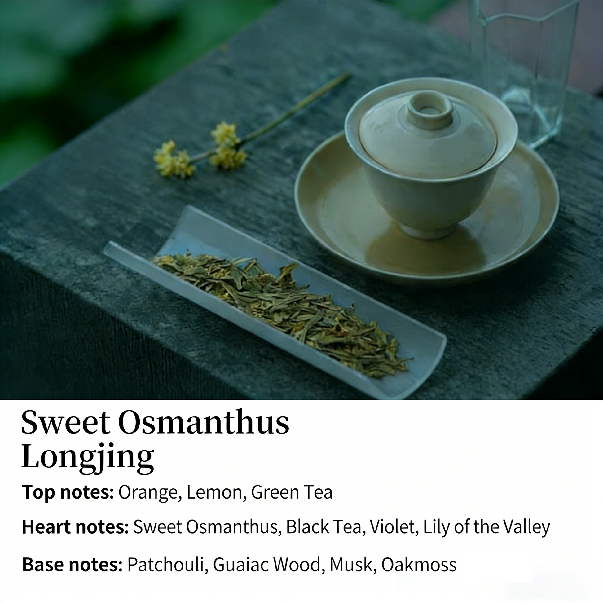 Wizard of Oz Volcanic Stone Diffuser: Nature-Infused Aromatherapy Art | 180 Days Long-Lasting Scent, Everlasting Flowers & Crystals, Multi-Use for Fragrance, Decoration & Relaxation