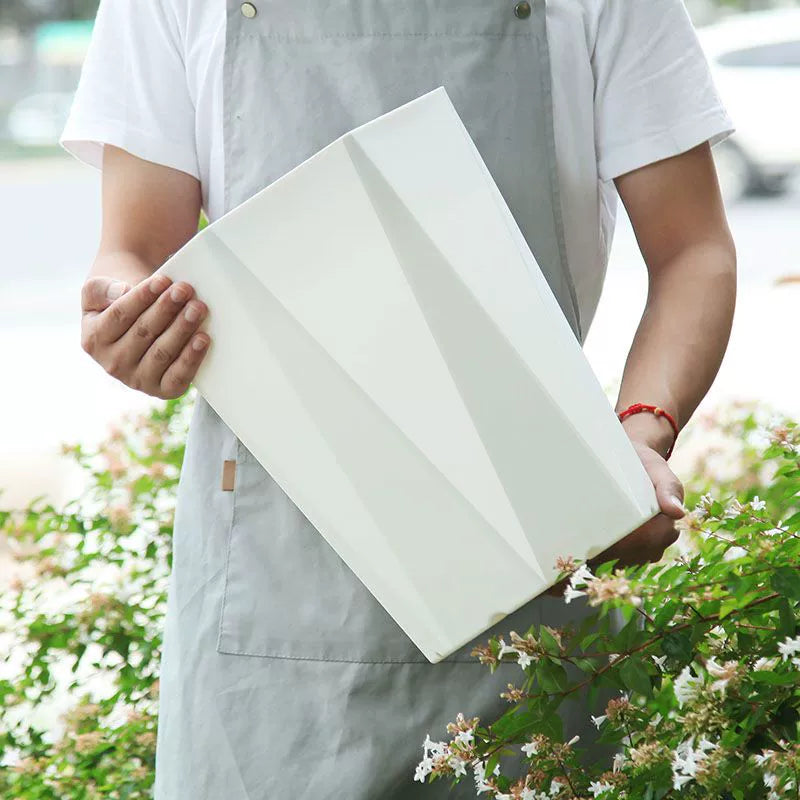 Simple and modern diamond shaped polygonal flowerpot, light luxury