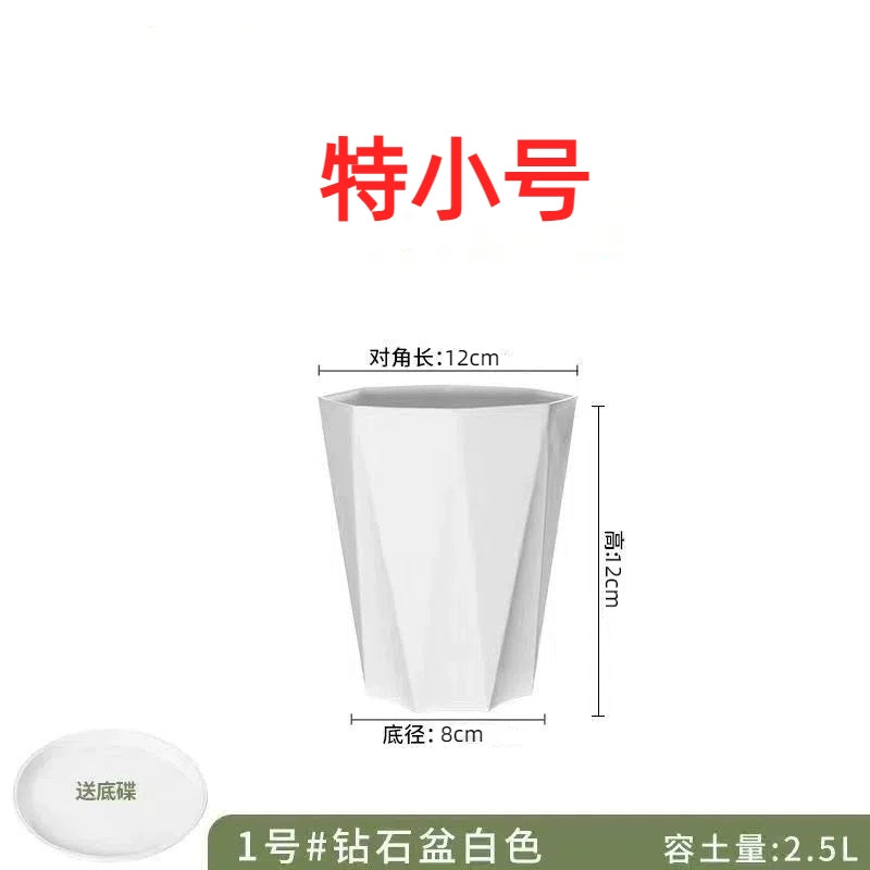 Simple and modern diamond shaped polygonal flowerpot, light luxury