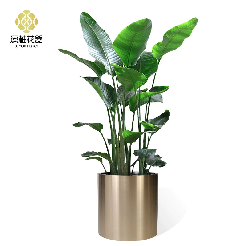 Nordic Creative Cylindrical Stainless Steel Flower Pot - Modern Planter with Diverse Visual Aesthetics for Indoor & Outdoor Decoration