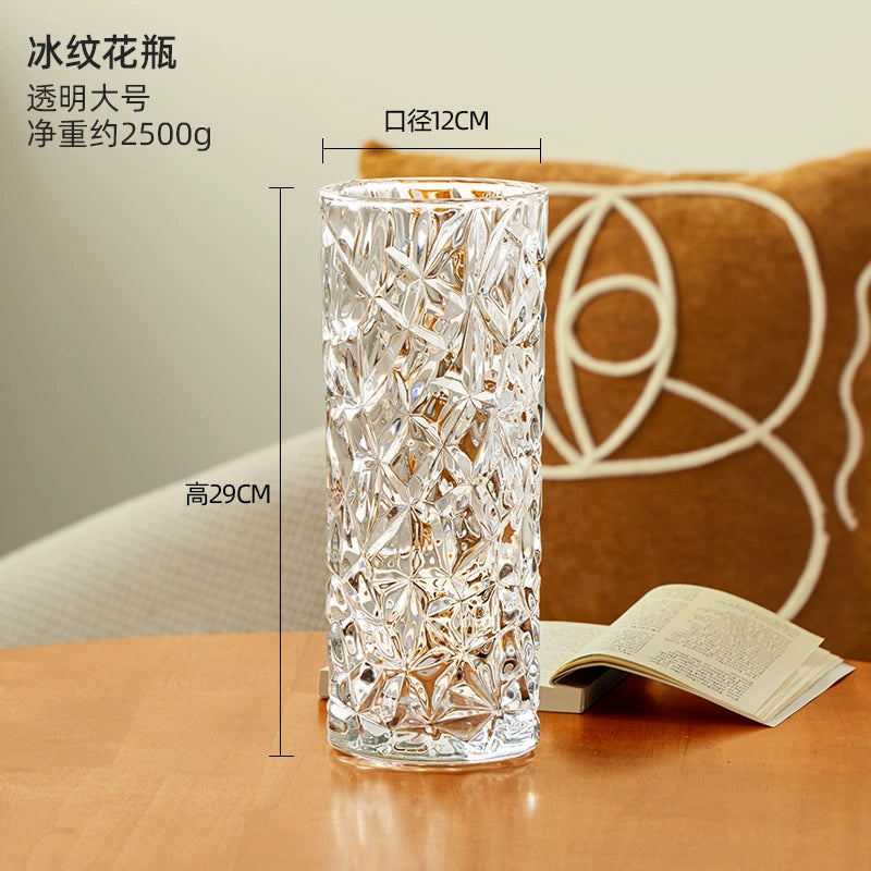 Hand - Blown Thickened Glass Vase for Multi - Scenes
