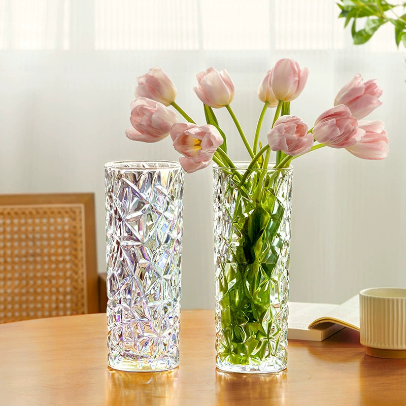 Hand - Blown Thickened Glass Vase for Multi - Scenes