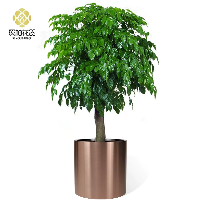 Nordic Creative Cylindrical Stainless Steel Flower Pot - Modern Planter with Diverse Visual Aesthetics for Indoor & Outdoor Decoration