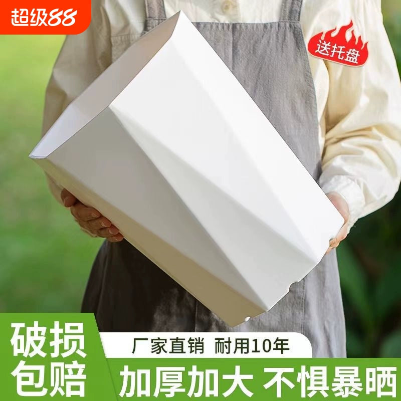 Simple and modern diamond shaped polygonal flowerpot, light luxury