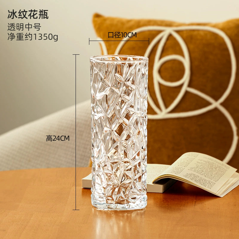 Hand - Blown Thickened Glass Vase for Multi - Scenes