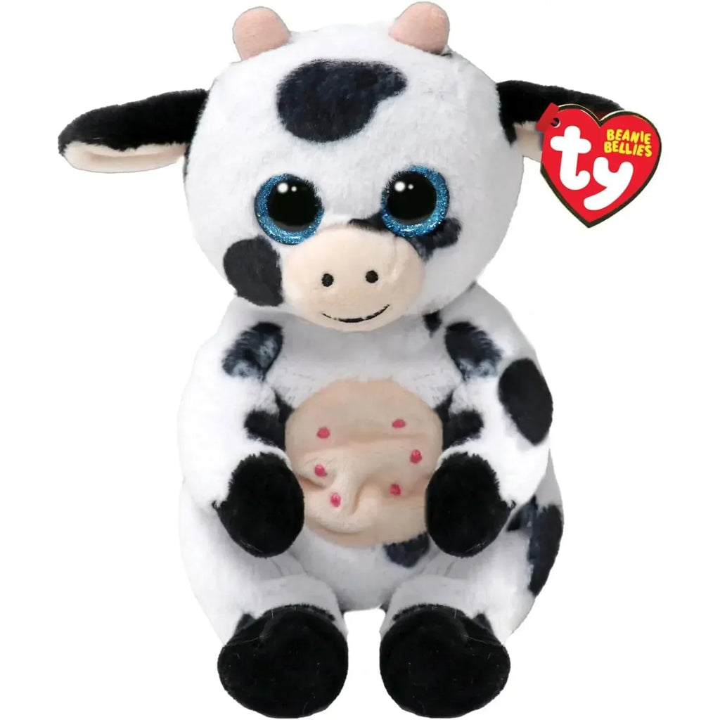 15cm Ty Big Eye Beanie Animals Plush Slick Fox Ferdinand Locky Axolotl  Dexter Icy Seal Heather Cat Children Toy Holiday Gift