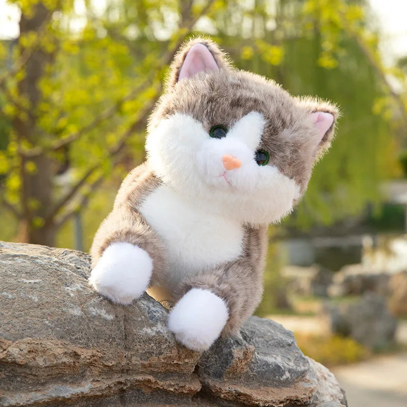 Lying on the stomach cat sleeping pillow kitten doll plush toy doll gift soothing bed doll children's day gift birthday gift