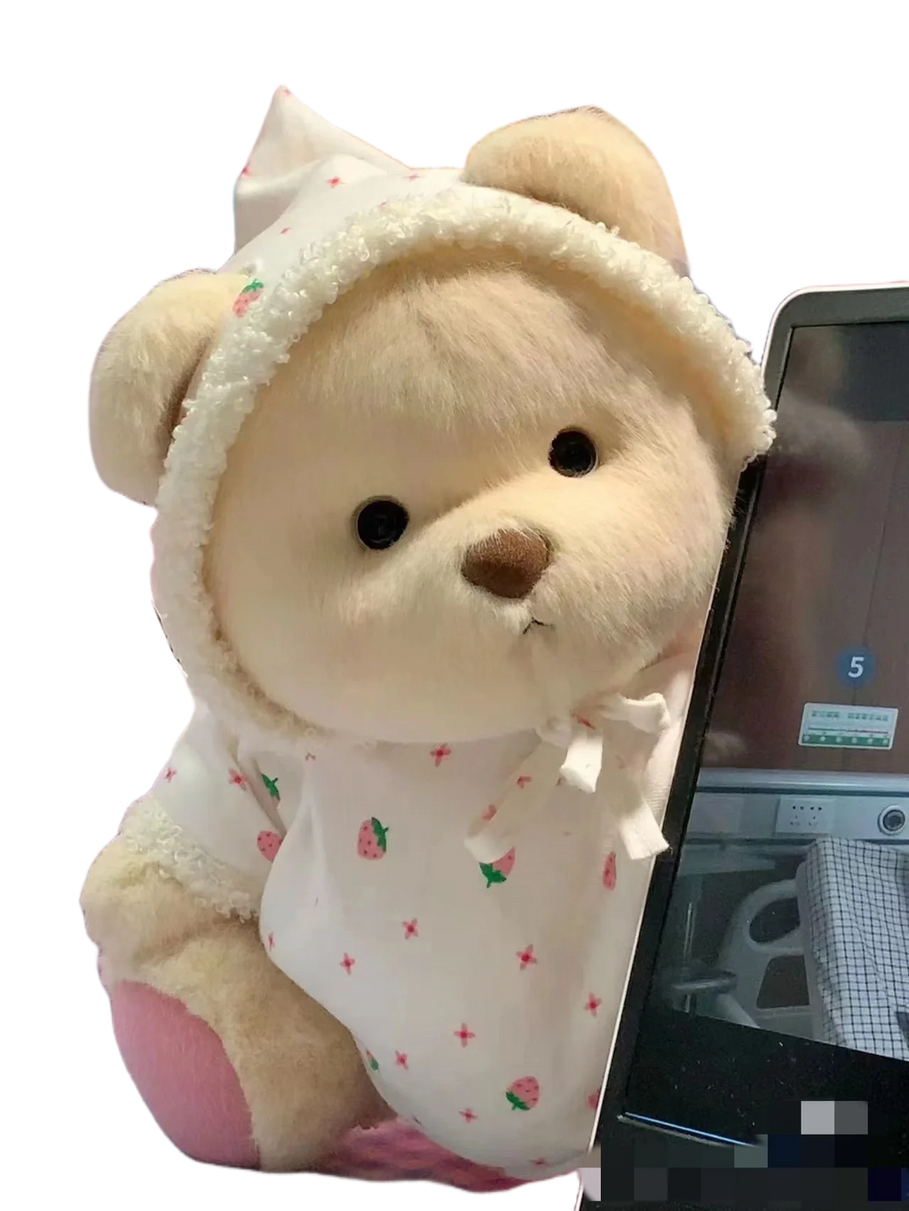 30cm Handmade Teddy Tale Bear Plush Toy Change Dress Baby Crawling Cloth Girl Hug Cuddly Plushie Doll for Girlfriend Gift