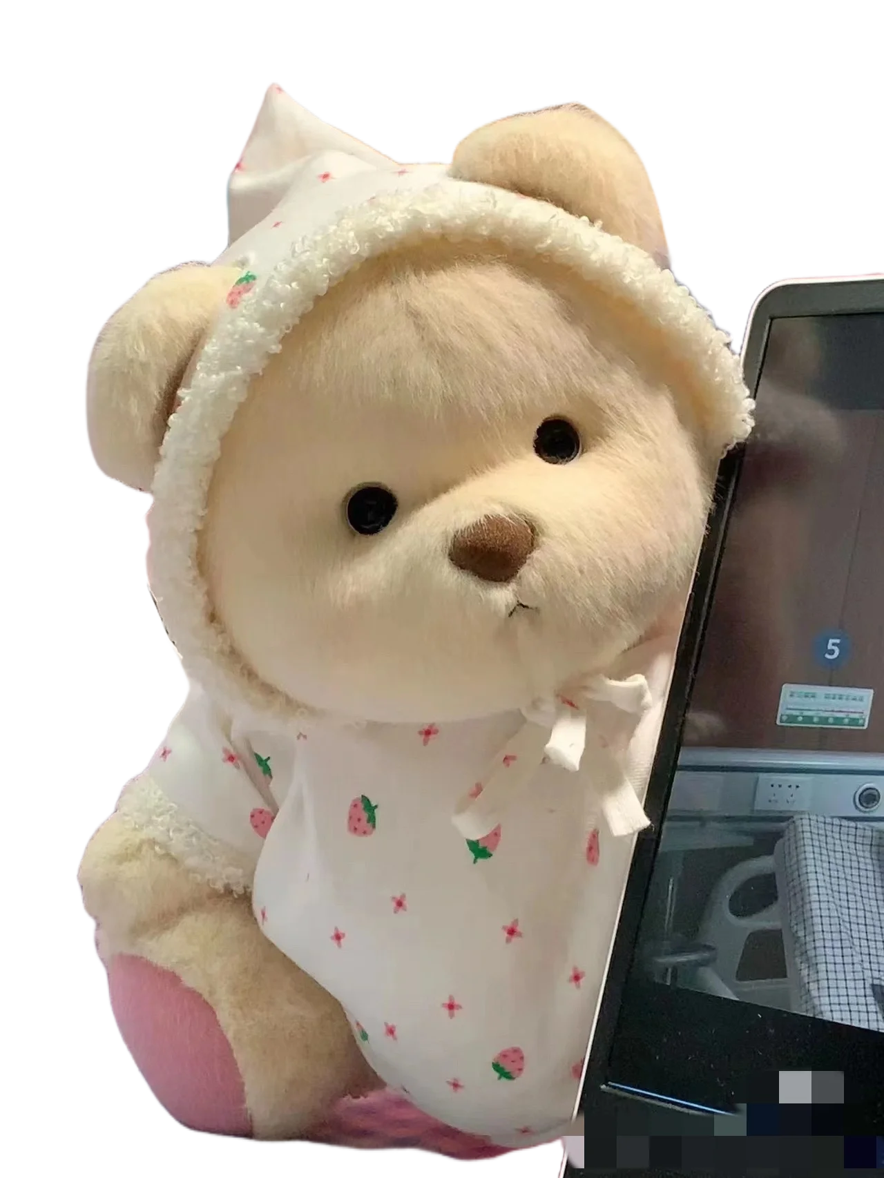 30cm Handmade Teddy Tale Bear Plush Toy Change Dress Baby Crawling Cloth Girl Hug Cuddly Plushie Doll for Girlfriend Gift