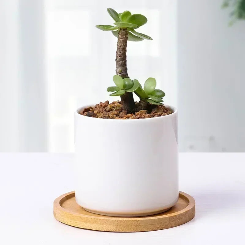 Natural Bamboo Plant Saucer and Mini Decorative Tray, Choice of Round, Oval, Heart, Square and Rectangle Styles