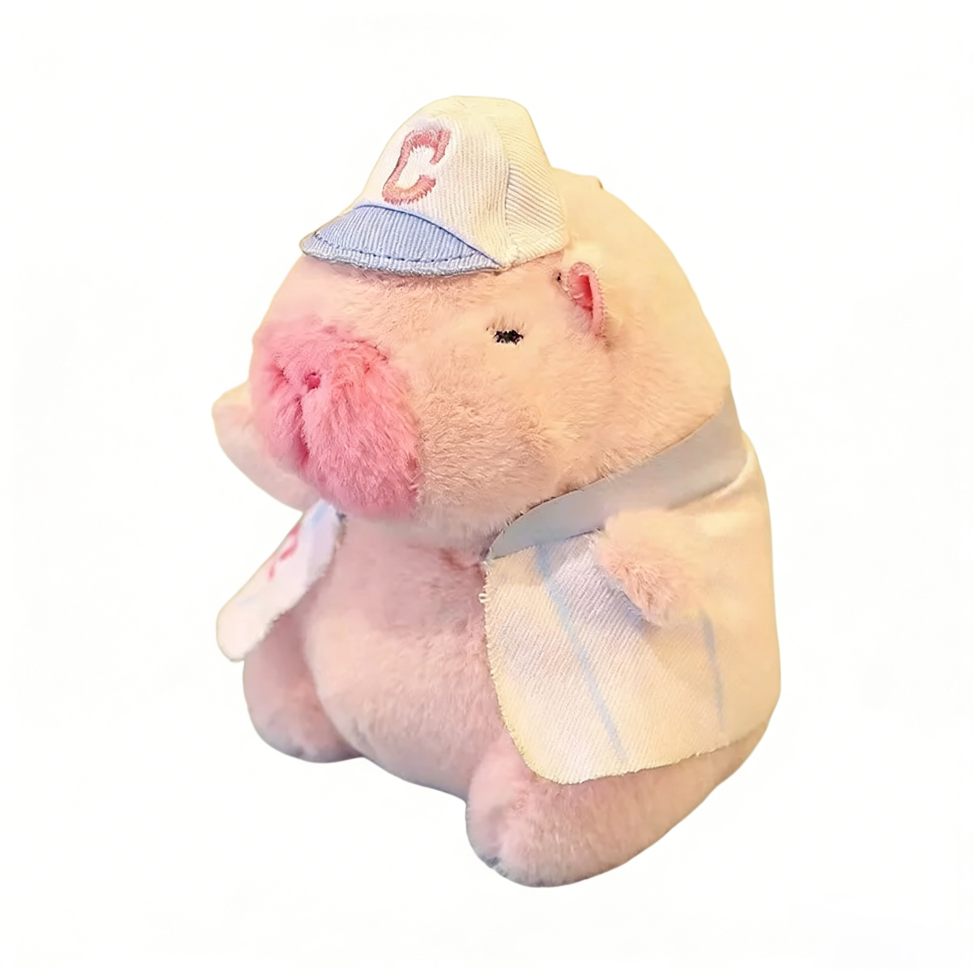 Cute 10" Kawaii Capybara Plush Toy - Orange Fruit Decor Stuffed Animal, Soft Huggable Capybara Doll for Kids/Adults, Cute Birthday Gift/Desk Decor